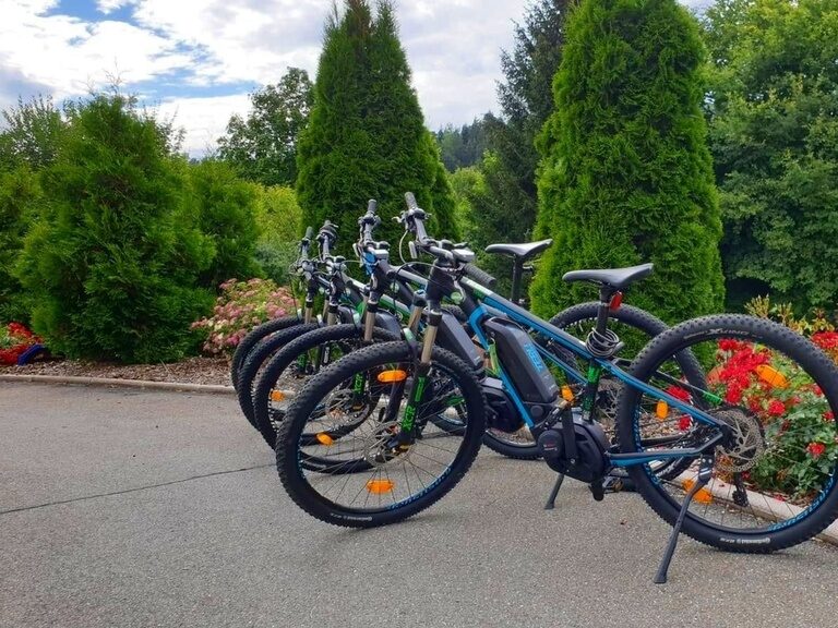 Mehrere E-Bikes stehen bereit auf Asphalt zwischen Blumenbeeten und hohen Zypressen.